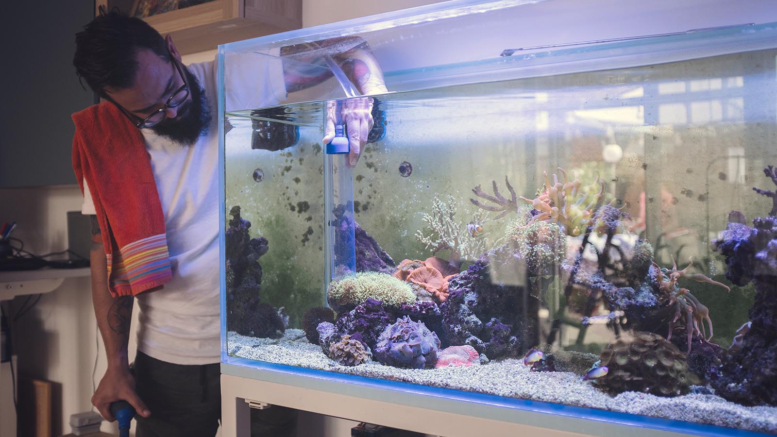 How To Set Up An Aquarium?
