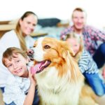 What Are the Best Pets Well-Suited for Families With Kids?