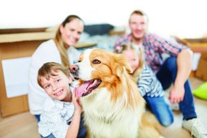 What Are the Best Pets Well-Suited for Families With Kids?