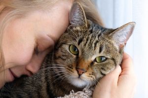 Bible Passages to Help You Cope With the Loss of a Loved Pet (Part 2)