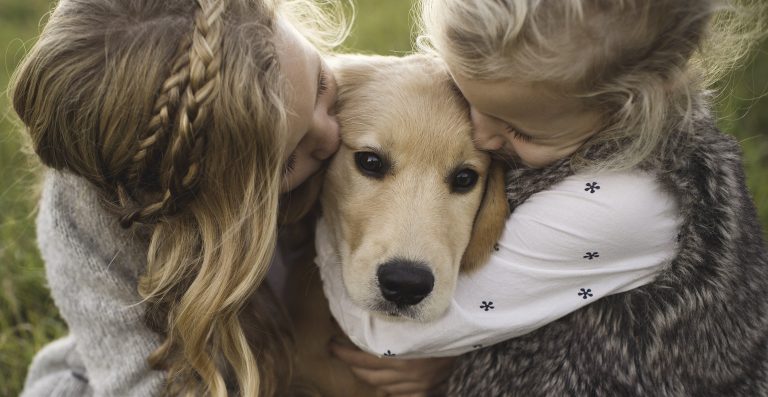 How Can You Tell if Your Kid Is Ready for Pet Ownership?