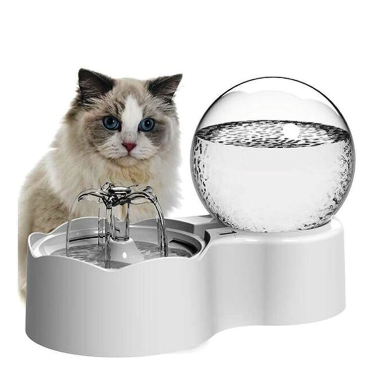 Why Choose a Water Dispenser for Your Cat
