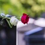 Encouraging Bible Verses to Read at Your Pet’s Funeral