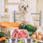 Healthy Homemade Dog Food Recipes Your Pooch Will Love (Part 2)