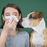 Can I Have a Dog if I Have Asthma?