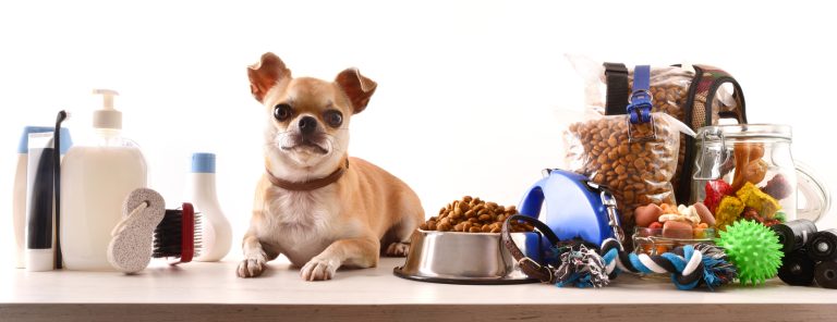 Best Online Pet Stores for Spoiling Your Pet