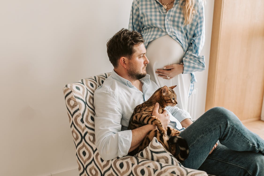 Cat and Baby: Tips for a Successful Cohabitation