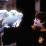Hogwarts Legacy: Magical Creatures We Want as Pets