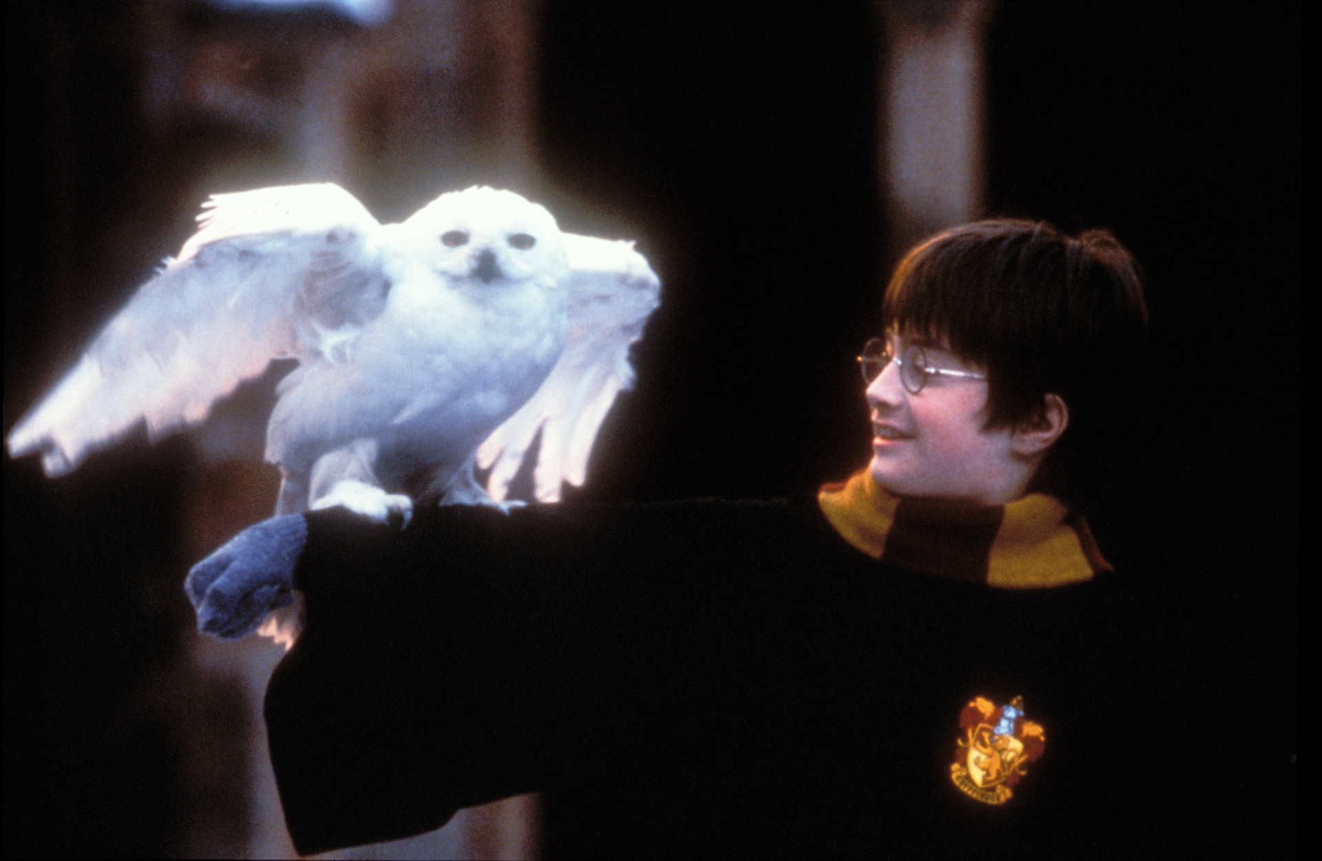Hogwarts Legacy: Magical Creatures We Want as Pets