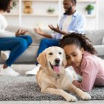 What Happens to Your Pet After Divorce?