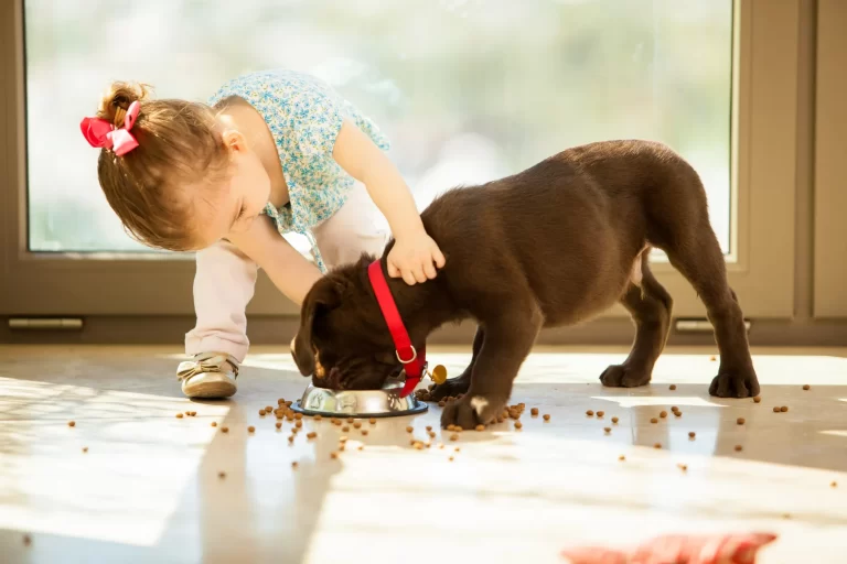 Choosing the Perfect Pet for Your Children