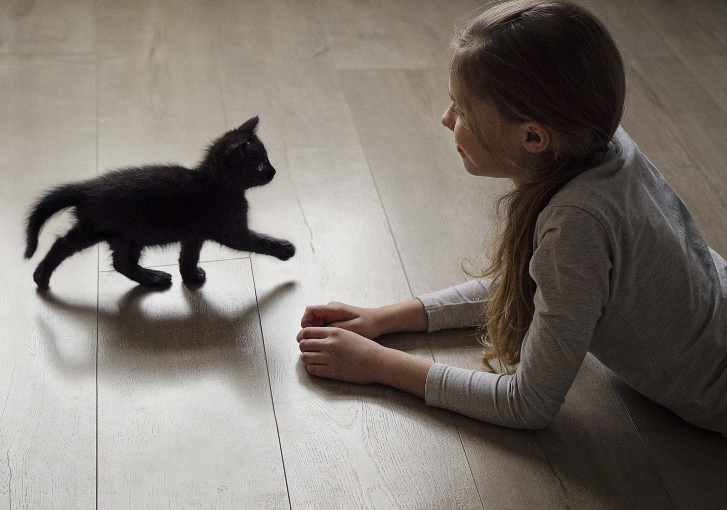 Here are some tips for adopting a black cat: